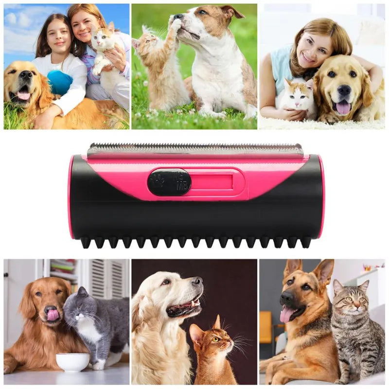 3 in 1 PetBrush Hair removal Brush for Pets