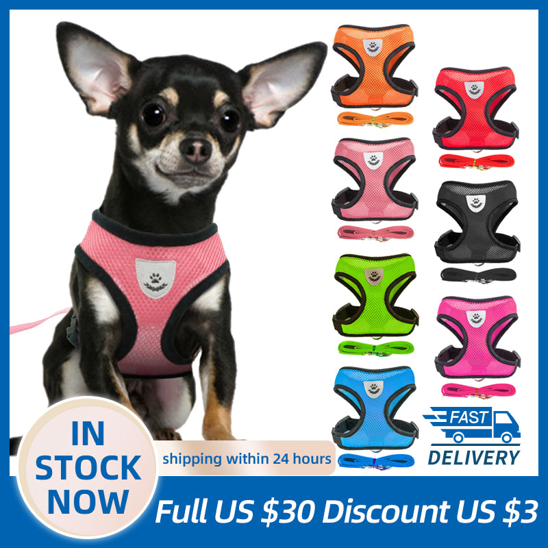 Collar Cat Dog Adjustable